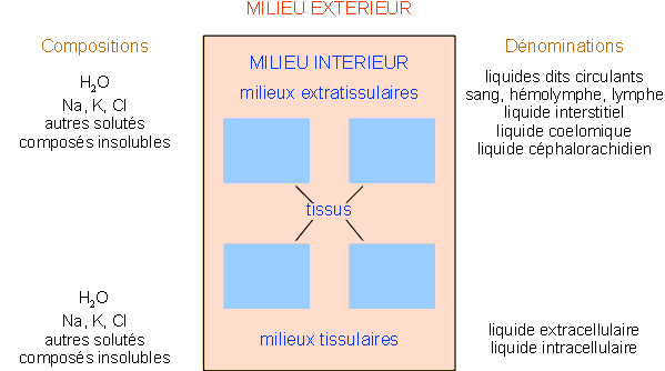 Figure 1-1