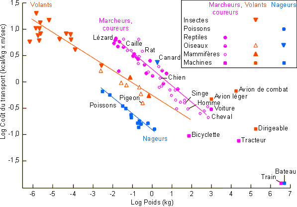 Figure 3-16
