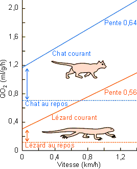 Figure 3-17