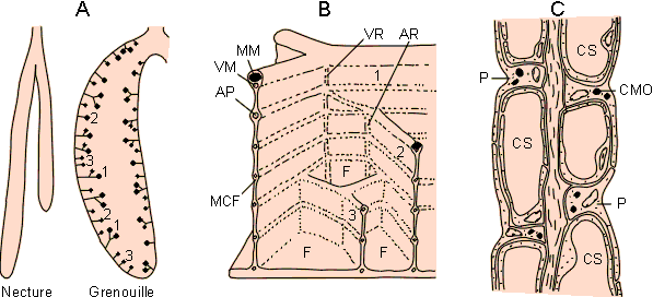 Figure 3-35