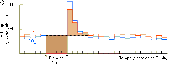 Figure 3-62C