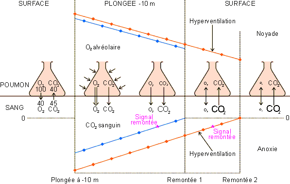 Figure 3-66