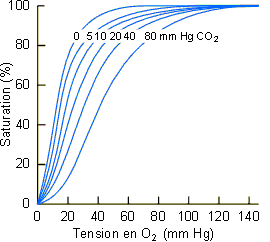 Figure 4-10