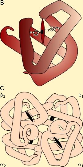Figure 4-1BC
