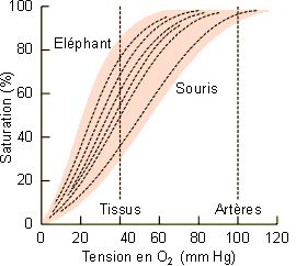 Figure 4-9