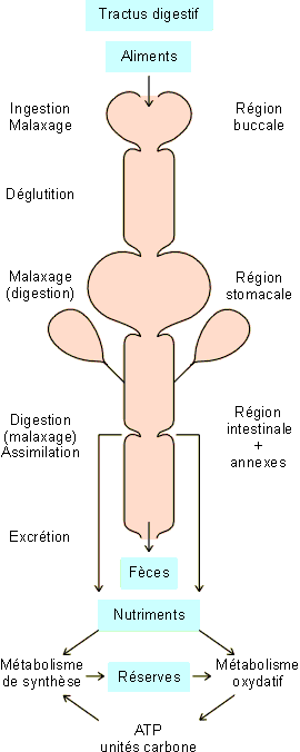 Figure 5-1