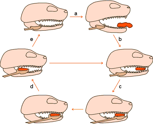 Figure 5-2
