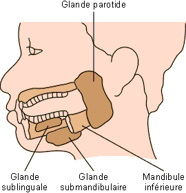 Figure 5-1