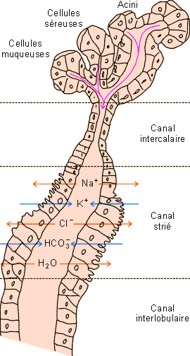 Figure 5-6