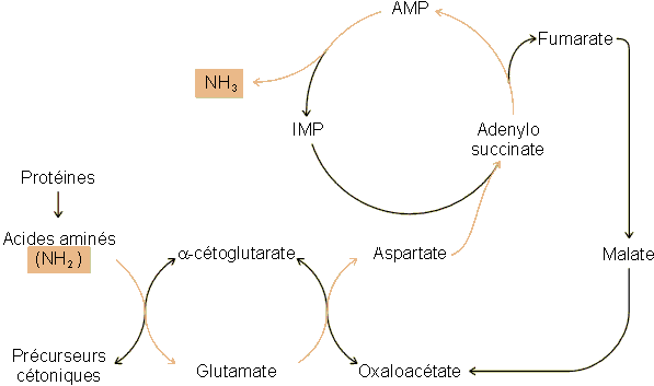 Figure 6-11