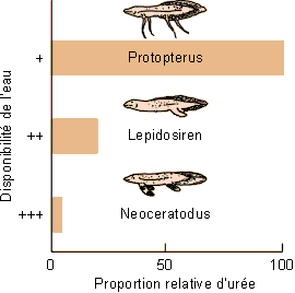Figure 6-13
