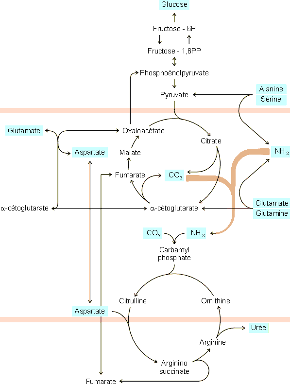 Figure 6-9