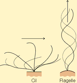 Figure 7-30