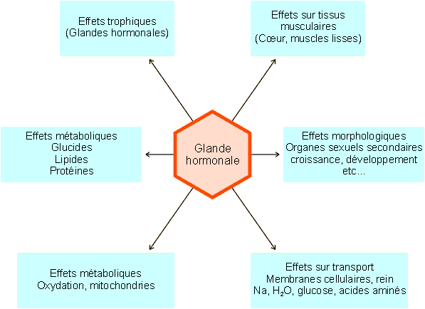 Figure 9-2 (10391 octets)