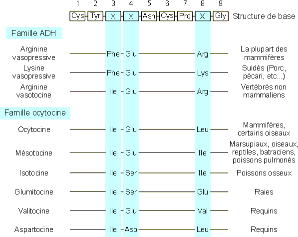 Figure 9-6 (12469 octets)