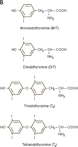 Figure 9-7B (5486 octets)