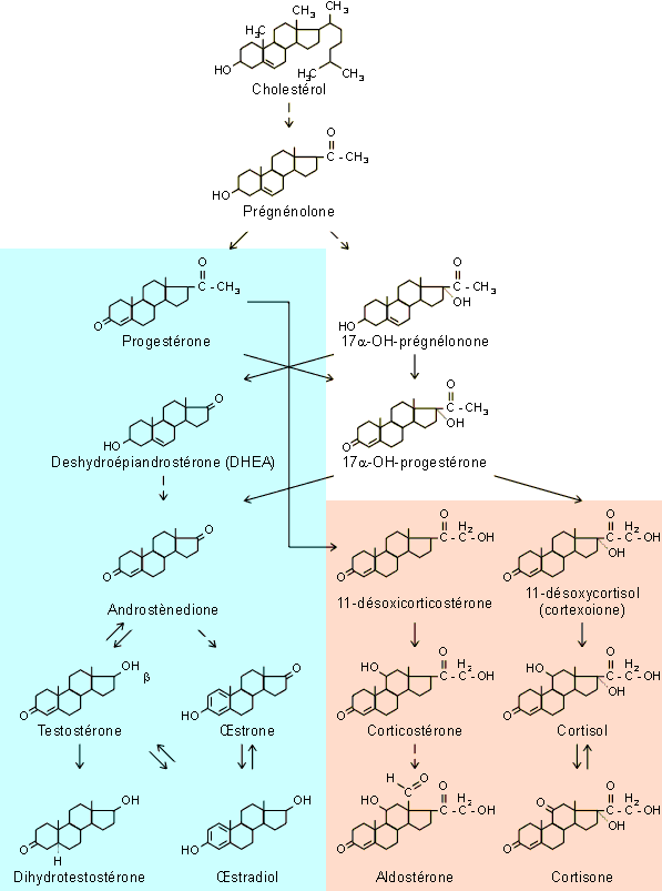 Figure 9-9 (24157 octets)
